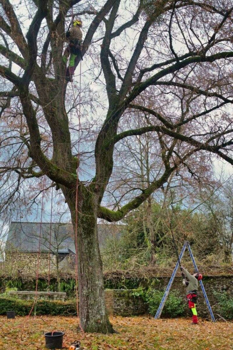 Fourrier Paysage Pepiniere Laval Jardinier 1